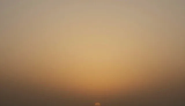 财税咨询如何提升企业商务效率